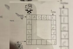 10/10 If You Can Solve This Complex Crossword Aimed At 5th Graders