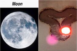 Will The Moon Soon Have Roads? What We Know