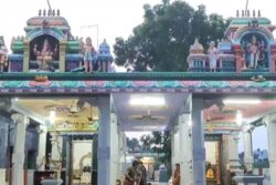 At Tamil Nadu's Villupuram, Temples Start Kolu Doll Worship For Navratri Festivities