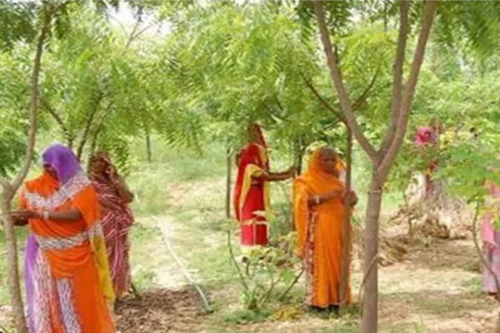 Every Time A Girl Child Is Born, This Village In Rajasthan Plants 111 Saplings; Here’s Why