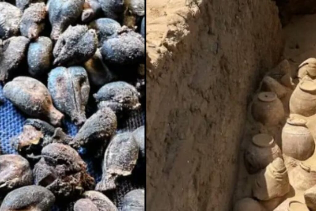 Researchers Discover 5,000-Year-Old Wine From The Tomb Of Egypt's First Female Pharaoh