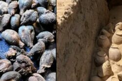 Researchers Discover 5,000-Year-Old Wine From The Tomb Of Egypt's First Female Pharaoh