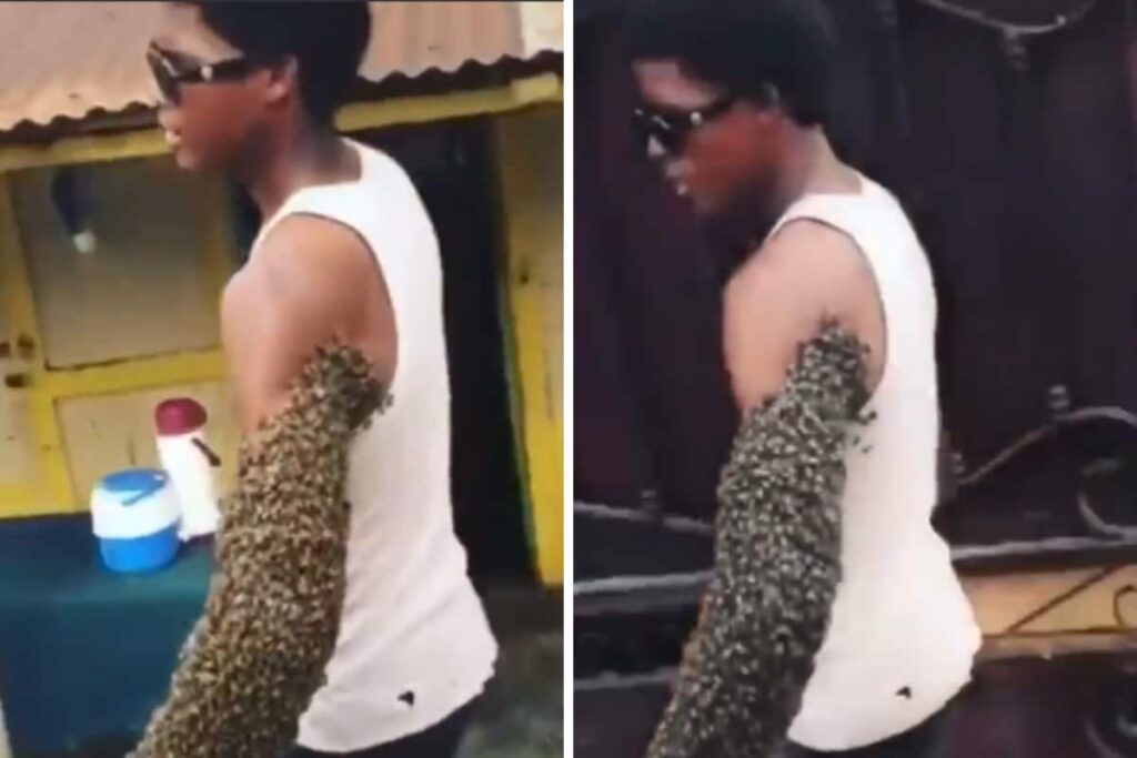 Trending: Man Transfers Massive Bee Colony With Bare Hands