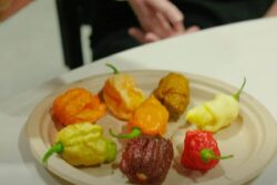 Pepper X Dethrones Carolina Reaper As World's Hottest Chili Pepper