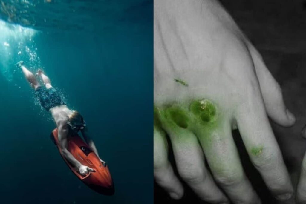 Why Human Blood Appears Green Underwater