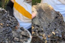 Viral Video Shows How Shilajit Is Made In The Mountains