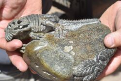 Four Americans Steal Dinosaur Bones Worth Rs 6.5 Crore, Smuggle Them To China