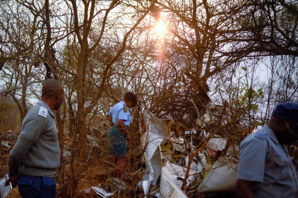 Indian Mining Tycoon Harpal Randhawa, Son Among Six Killed in Zimbabwe Plane Crash