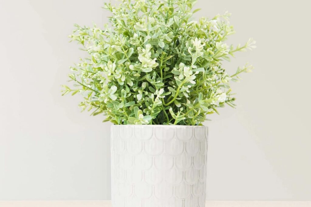 Prepare Your Home for the Festive Season With These Essentials