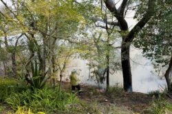 Australia Faces Dual Disaster: Floods Follow Bushfires in 48 Hours