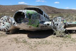 WATCH: Small Plane in Oregon, US Falls Dramatically from the Sky, Two Killed