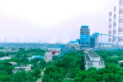 NTPC Recruitment 2023: Hiring For 50 Executive Posts Open; Check Last Date Of Application