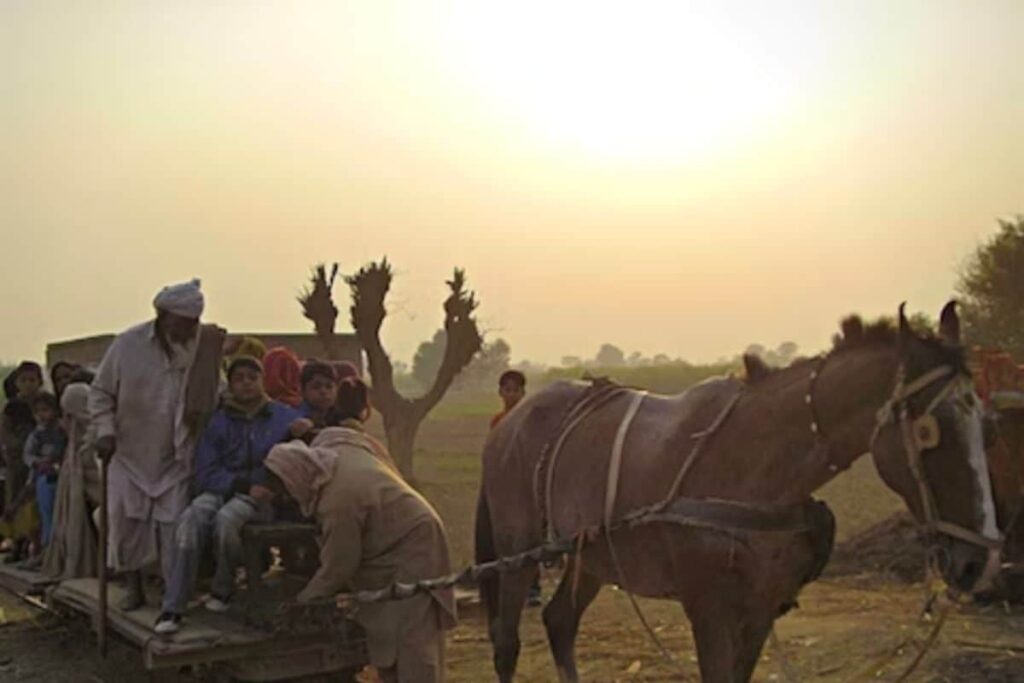 All About Pakistan's Horse-pulled Ghoda Train Built By Father Of Modern Lahore Ganga Ram
