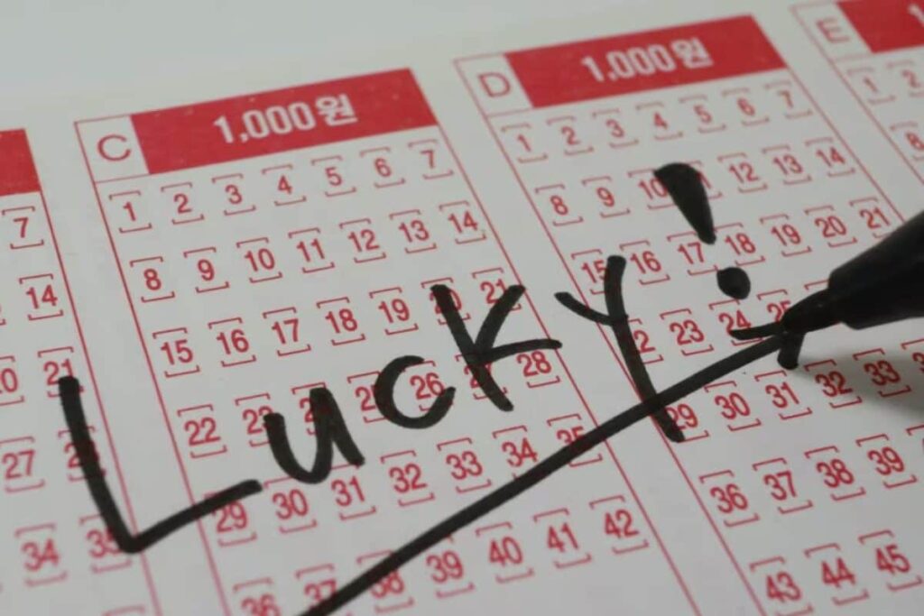 Tamil Nadu Project Manager Wins UAE Jackpot, to Get Rs 5.5 Lakh Monthly for 25 Years