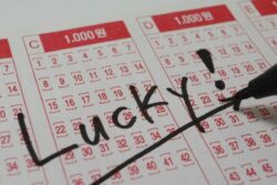 Tamil Nadu Project Manager Wins UAE Jackpot, to Get Rs 5.5 Lakh Monthly for 25 Years