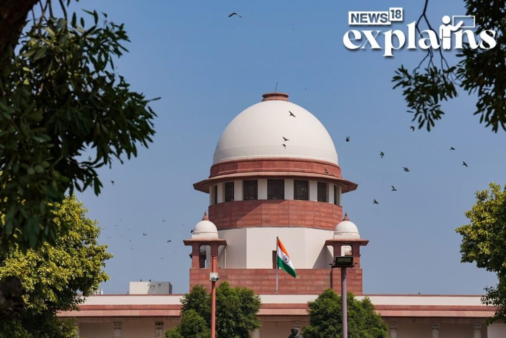 Termination of Pregnancy Case: What is the MTP Act and Court Rulings on Abortion So Far | Explained