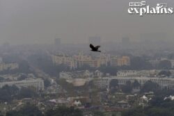 After More Than 200 Days of Good AQI, Why is Air Quality Plummeting Again in Delhi | EXPLAINED