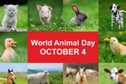 World Animal Day 2023: Theme, History, Significance, Quotes, and Interesting Facts