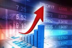 Career Wise: Building a Successful Career in Stock Market