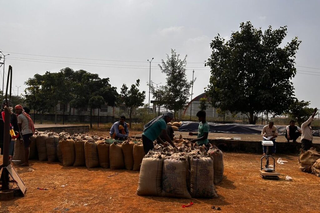 'Price Rice': Ahead of Chhattisgarh Polls, Auction-like Callouts by Congress, BJP on Paddy Procurement Rates