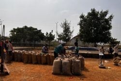 'Price Rice': Ahead of Chhattisgarh Polls, Auction-like Callouts by Congress, BJP on Paddy Procurement Rates