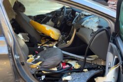 Why Should Humans Have All the Fun? Bear Breaks Into A Car To Relish Candy