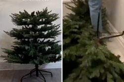 Woman's Christmas Tree Cleaning Ritual Sparks Hilarious Reactions On Social Media