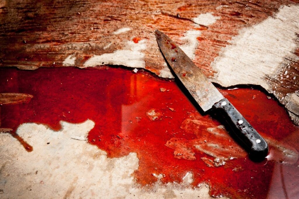 Bengaluru: Govt Employee Stabbed to Death at Her Residence, Probe On to Nab Accused