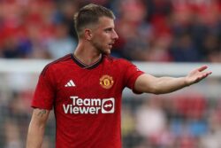 Dimitar Berbatov Says Mason Mount Looks 'A Bit Lost' at Manchester United