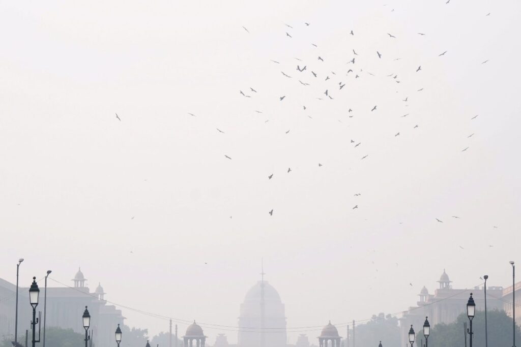 No Coal Burning in Hotels, LPG to All: IIT Kanpur Study Suggests 10 Ways to Curb Air Pollution in Delhi-NCR