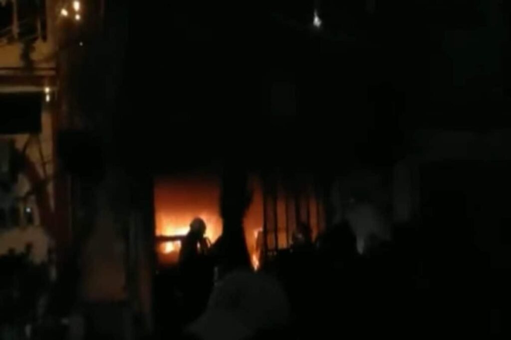 Delhi: Woman Dead, 26 Rescued in Shakarpur Fire; Two Pets Also Saved