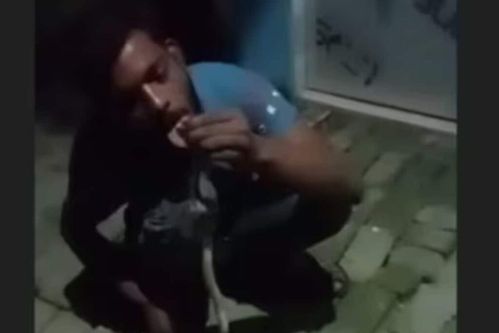 Drunk UP Man Calls Himself 'Father of Mahakal', Challenges Snake to Bite Him | WATCH What Happened Next