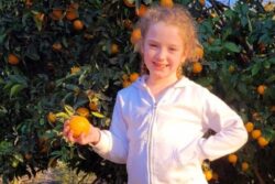 Israel Reminds Ireland’s Indian-Origin PM of IDF's Role after Hamas Frees 9-Yr-Old Irish-Israeli Girl