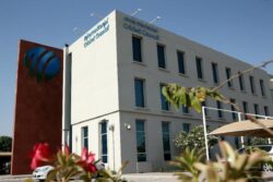 ICC Bans Transgender Women From Participating in International Women's Cricket