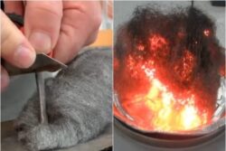 Watch: How Iron Wool Gets Heavier After Combustion