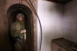 WHO Voices Concern as Israel Arrests Gaza Hospital Chief Mohammad Abu Salmiya