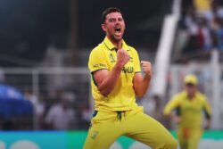 India Have "No Real Weaknesses": Australia's Josh Hazlewood Ahead Of World Cup Final