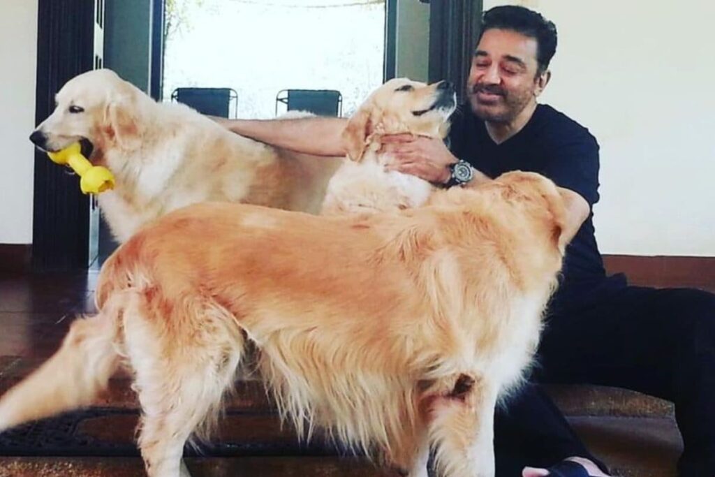 Happy Birthday Kamal Haasan: Must-Listen Songs That Will Transport You to a Bygone Era!