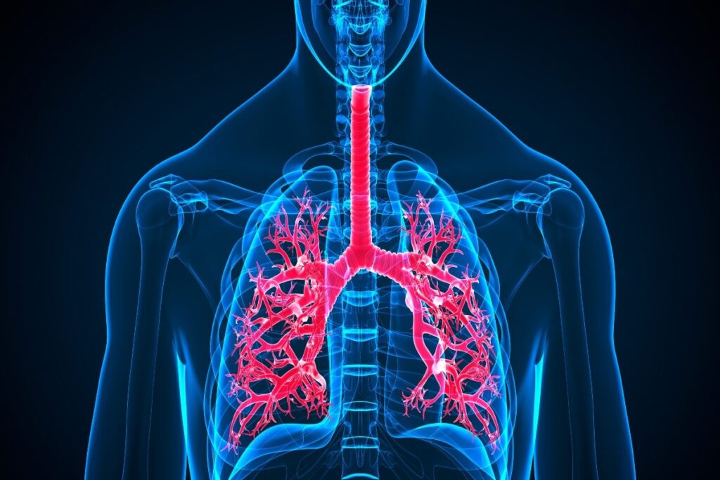 Lung Cancer Awareness Month: When and Who Should Consider Lung Cancer Screening?