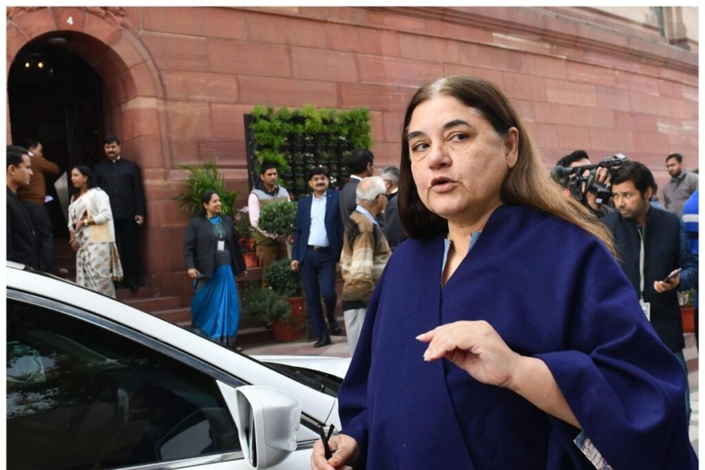 YouTuber Elvish Yadav Involved in Illegal Sale of Snake Venom, Should Be Held: Maneka Gandhi
