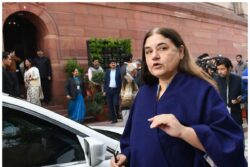YouTuber Elvish Yadav Involved in Illegal Sale of Snake Venom, Should Be Held: Maneka Gandhi