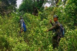 NIA Files Chargesheet Against 6 More Maoists in 2021 Chhattisgarh Ambush That Killed 22 Jawans