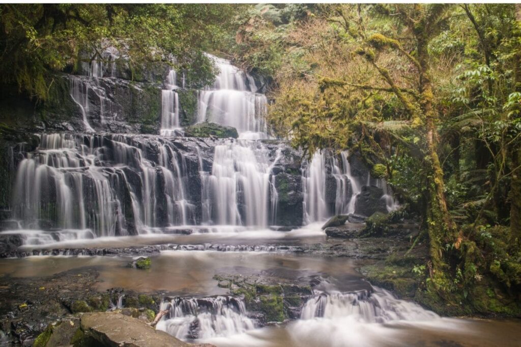 This Spring, Head To New Zealand For Some Amazing Travel Experiences