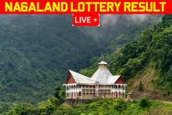 Nagaland Lottery Results LIVE: Check Winning Numbers for November 21; First Prize Rs 1 Crore!