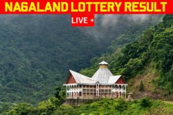 Nagaland Lottery Sambad Results LIVE: Check WINNERS for November 25; First Prize Rs 1 Crore!