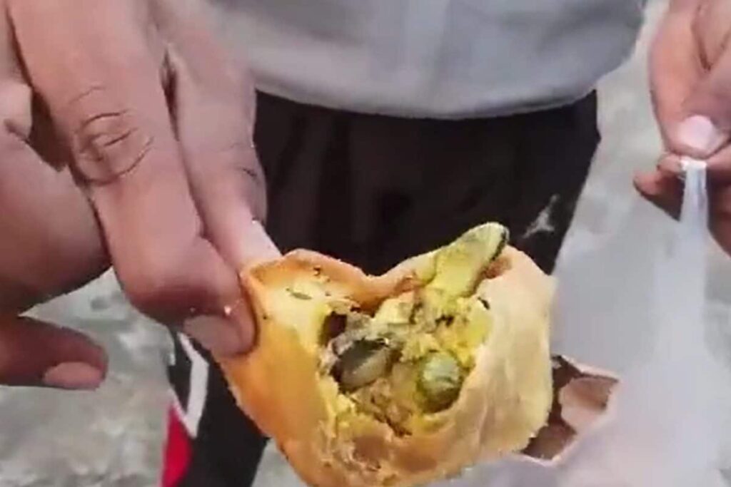 Samosa Served With Lizard At Street Shop Triggers Health Concern In UP