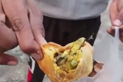 Samosa Served With Lizard At Street Shop Triggers Health Concern In UP