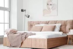 Woman Rents Half Of Her Bed At Rs 54,000; We Are Not Joking