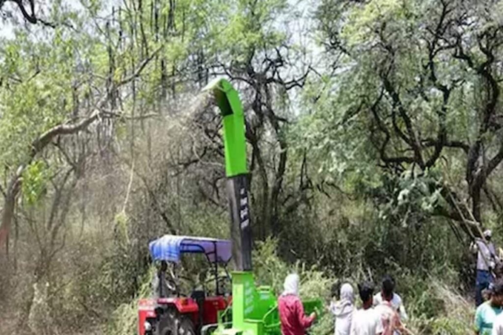 Invasive Vilayati Kikar Removal Project Under Scrutiny As Delhi Air Quality Deteriorates
