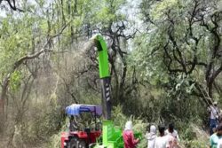 Invasive Vilayati Kikar Removal Project Under Scrutiny As Delhi Air Quality Deteriorates